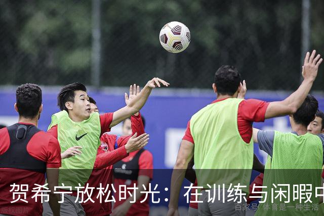 贺希宁放松时光：在训练与闲暇中探索八卦